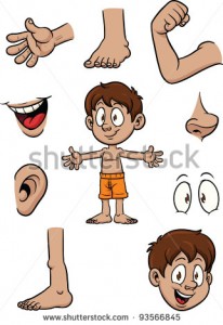 stock-vector-cartoon-kid-and-body-parts-vector-illustration-with-simple-gradients-each-element-on-a-separate-93566845